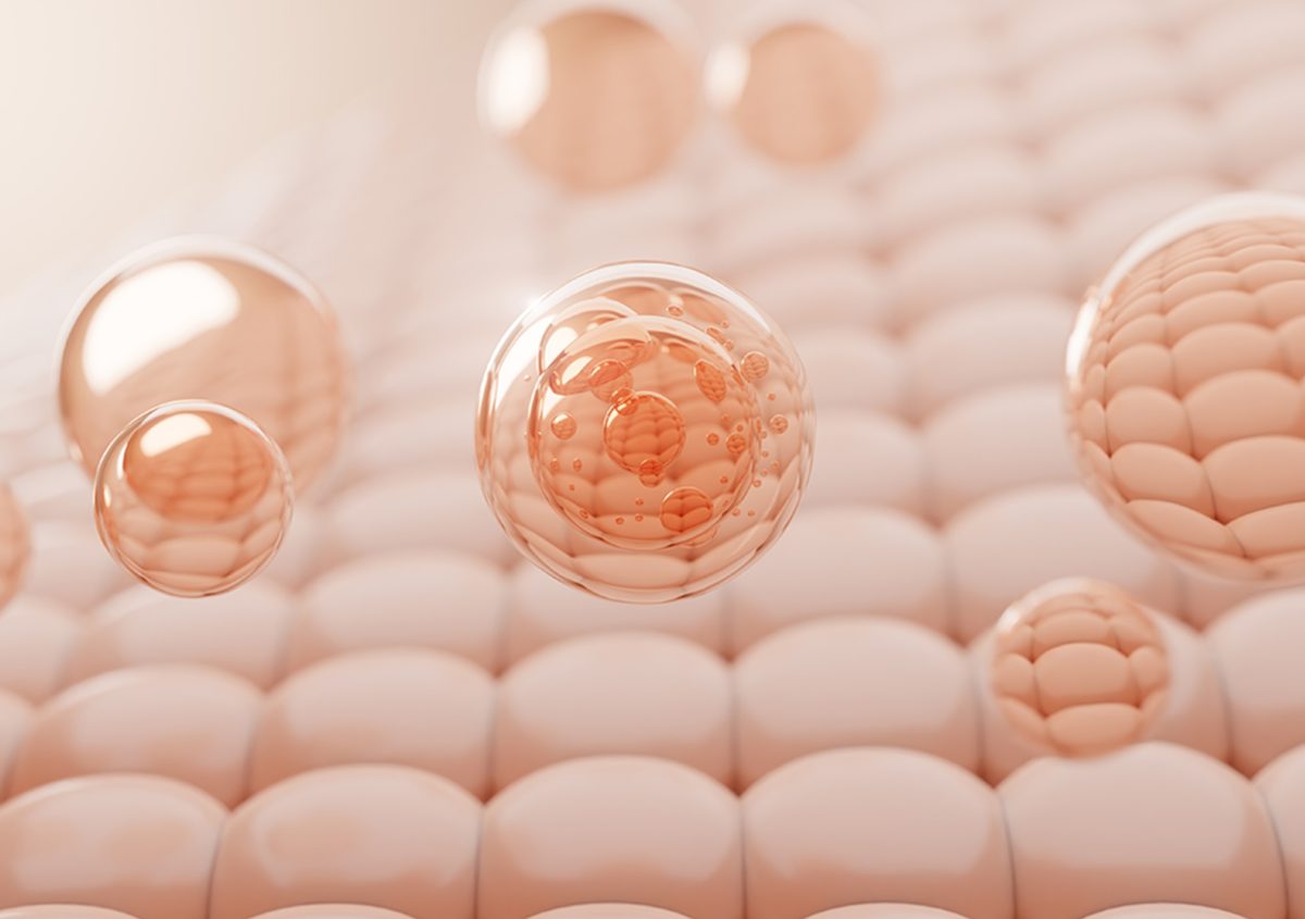 Artboard 5 copy 3@2x